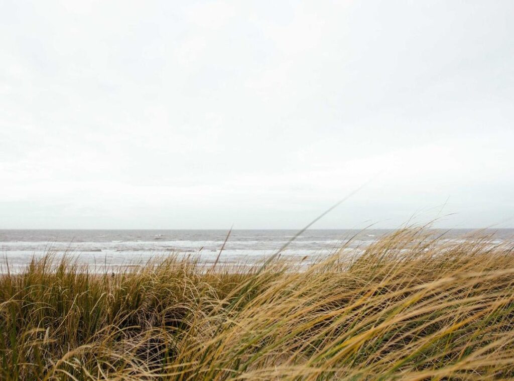 andreea bostanica nud