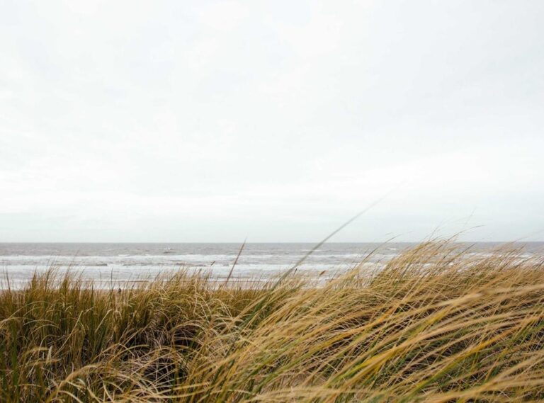 andreea bostanica nud