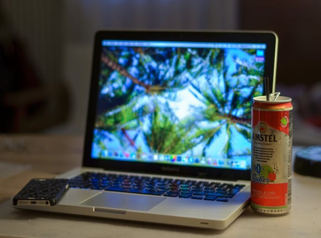 Which Laptops Can Run Vastaywar